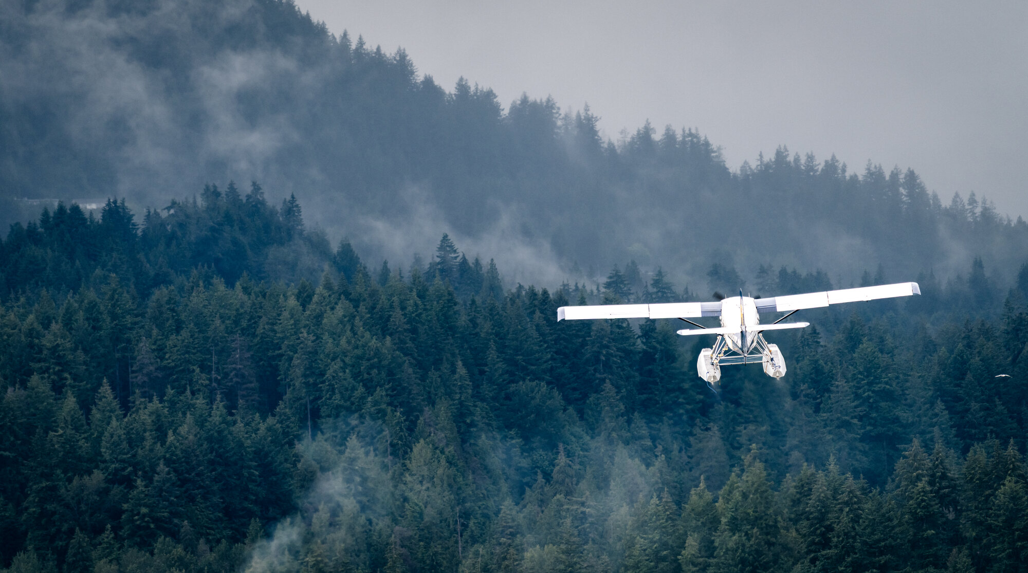 Floatplane approaching through pale mist above a dark evergreen mountainside near Vancouver Harbour