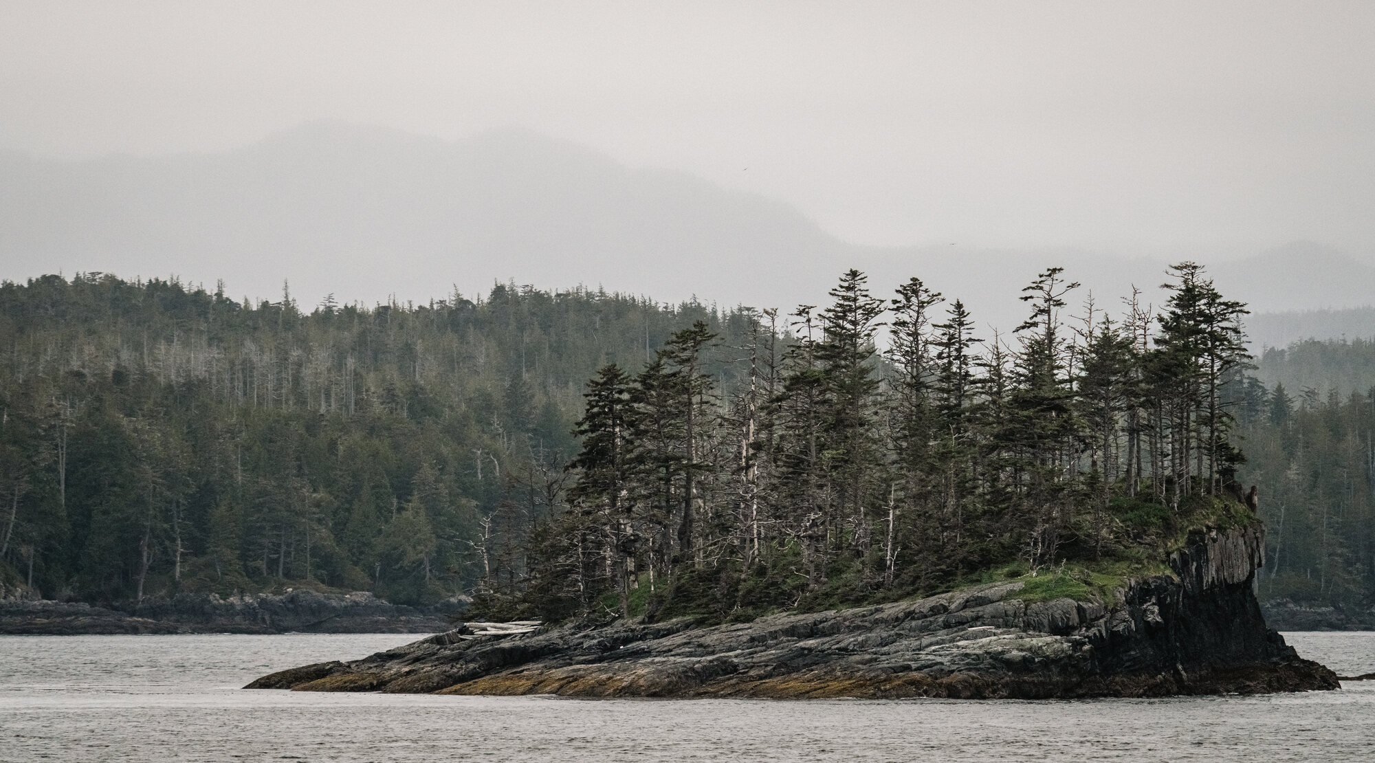 Low rocky evergreen island receding into rain and fog along the Inside Passage