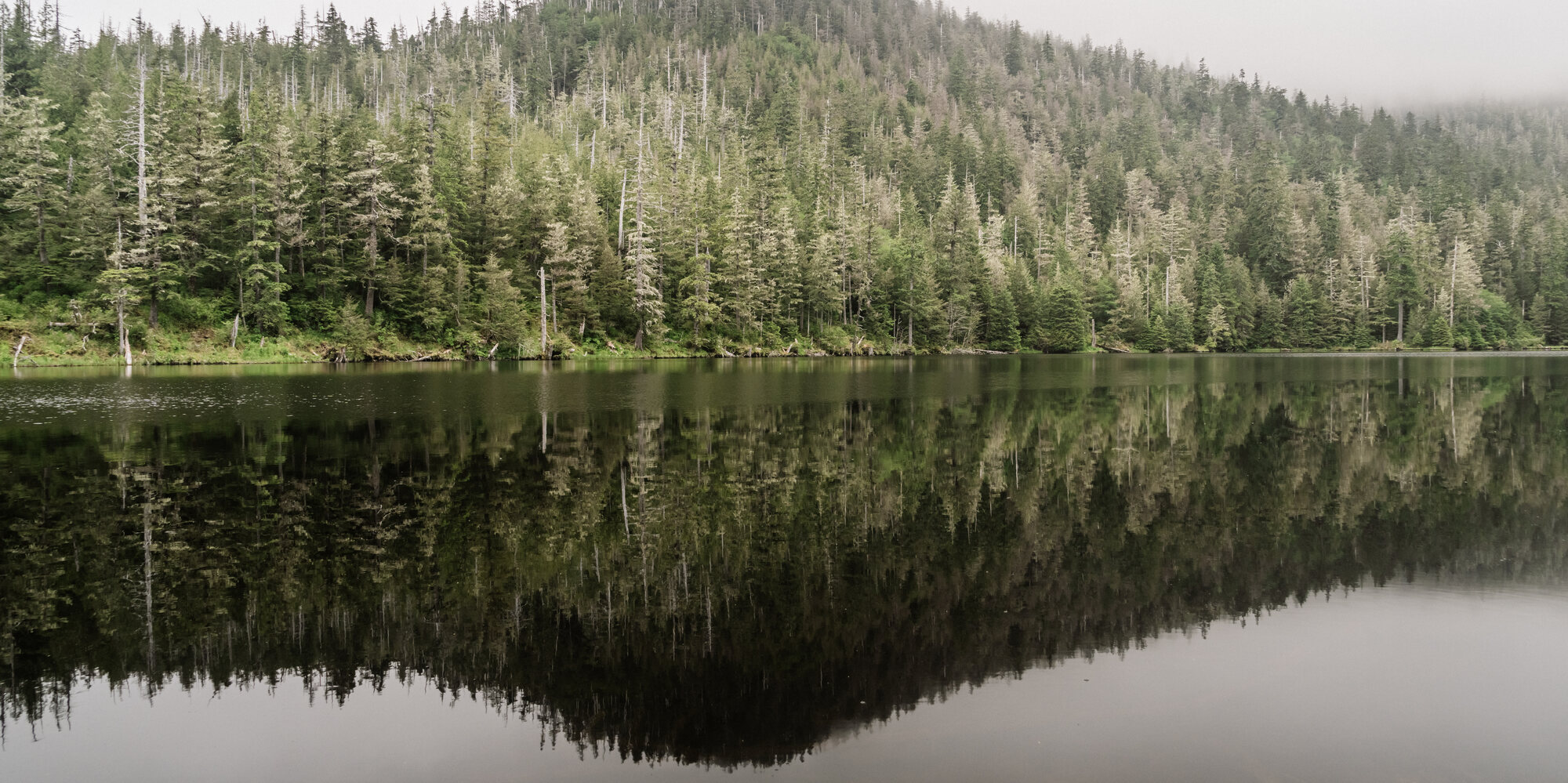 Wide view of still forest water mirroring dark evergreens beneath an overcast sky